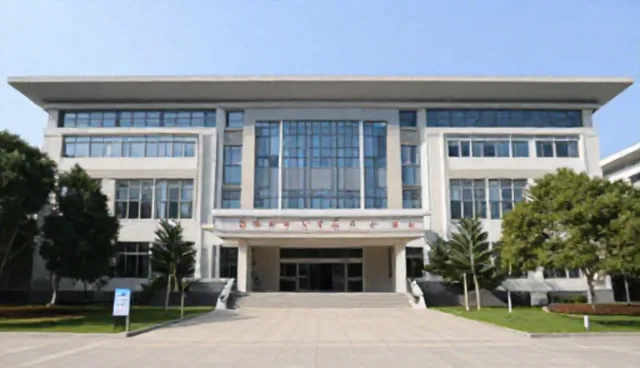 电商运营中线上平台搭建的两种做法对比及实际选择